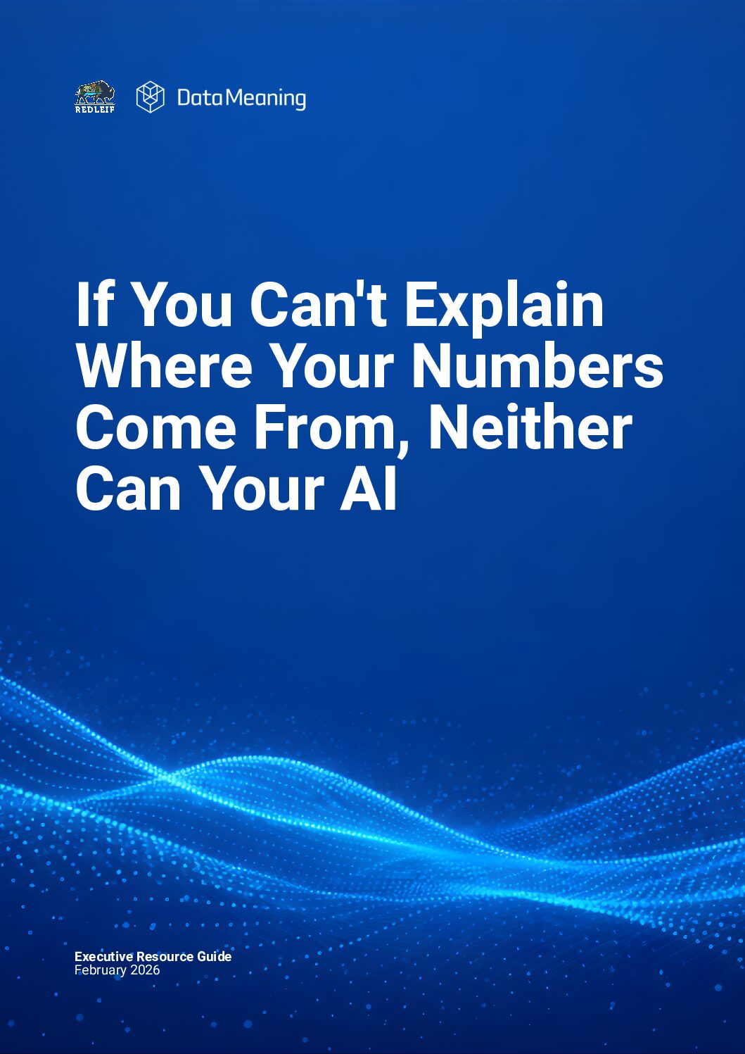 Datameaning Explain Your Numbers Before AI Resource
